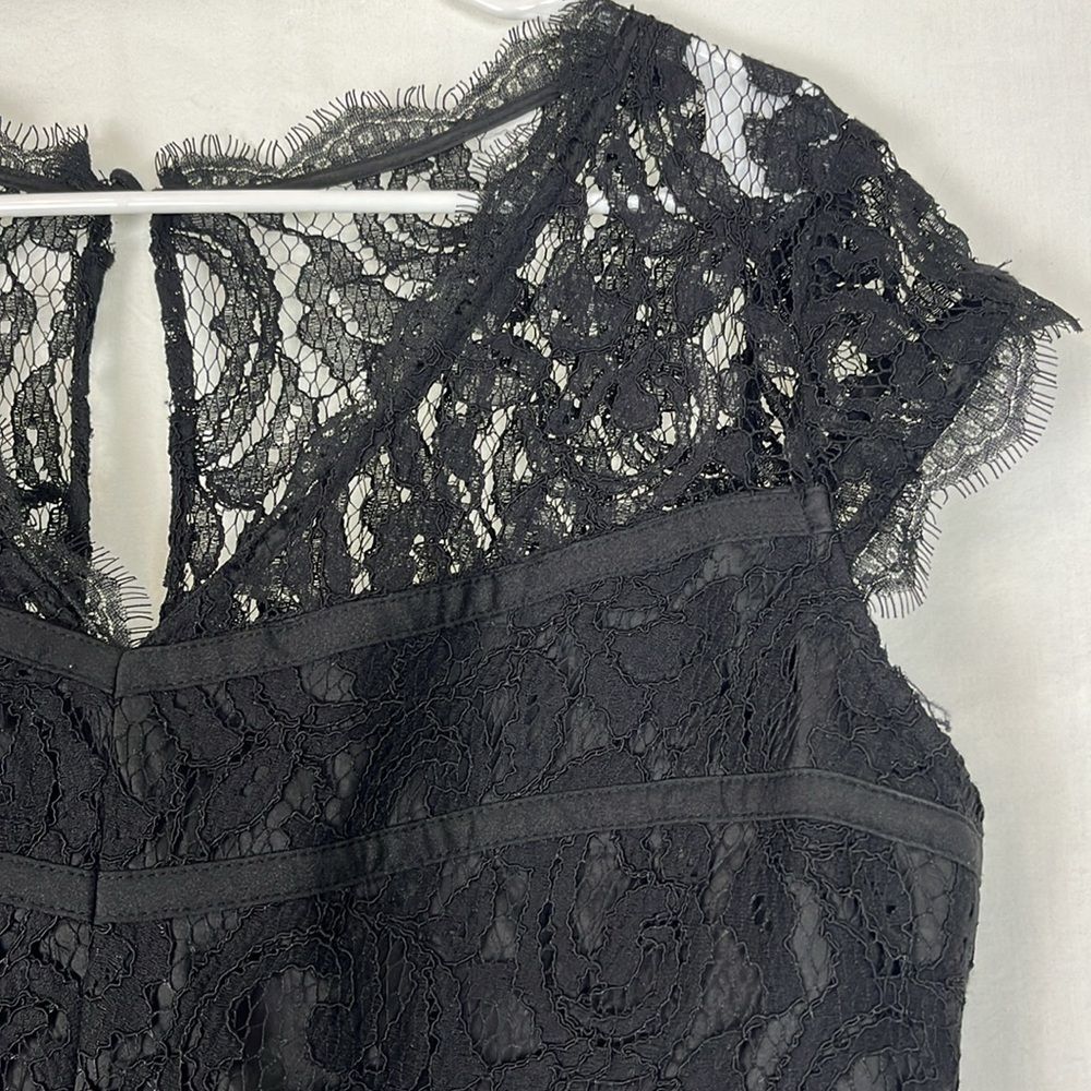 Adrianna Papell Black Lace Knee Length Cocktail Dress - Picture 4 of 8